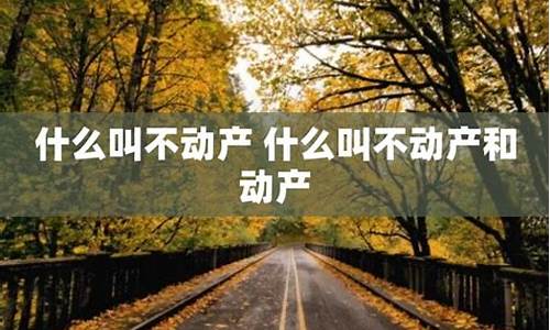 什么叫不动产-什么叫不动产单元